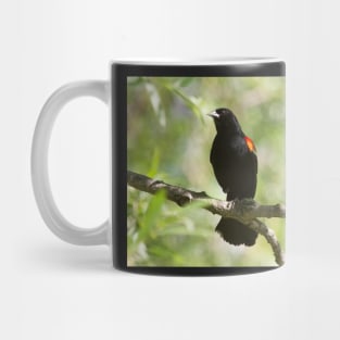 Black Beauty Mug